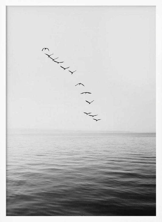 Flying Birds - XL Poster