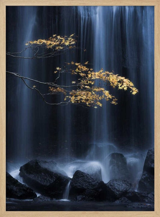 Golden Leaves Waterfall – B2B