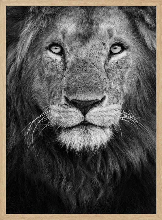 Royal portrait – B2B