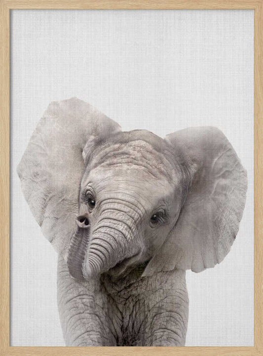 Peekaboo Baby Elephant – B2B