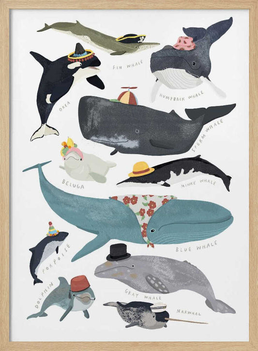Whales In Hats – B2B