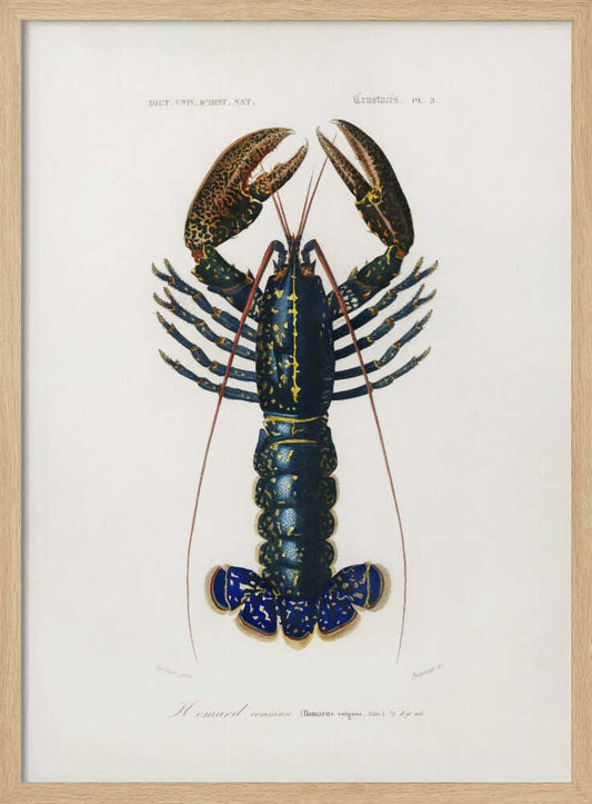 Crimson Crawfish – B2B