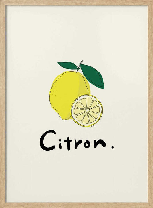 Fresh Lemon Illustration – B2B