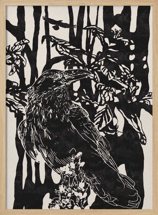Raven – B2B