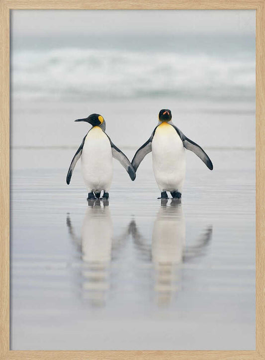 Friends – B2B