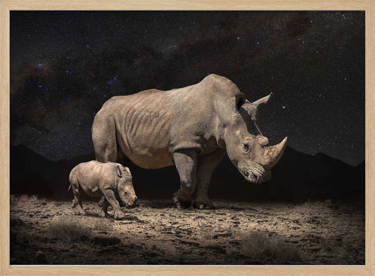 NightRhinos – B2B