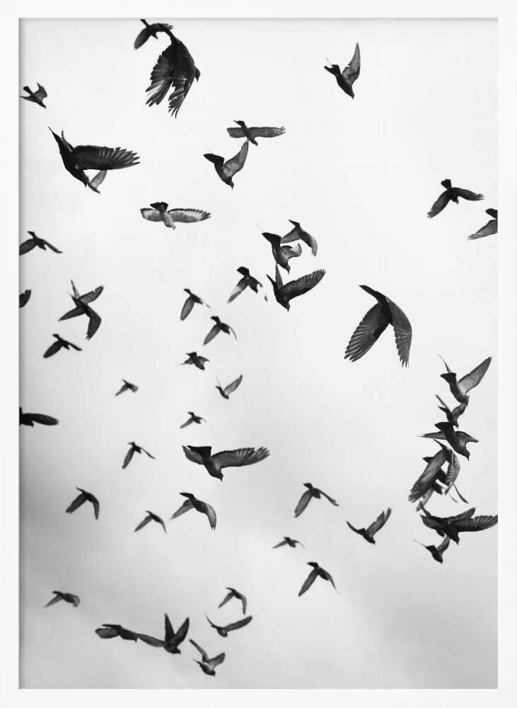 Skyward Symphony - XL Poster
