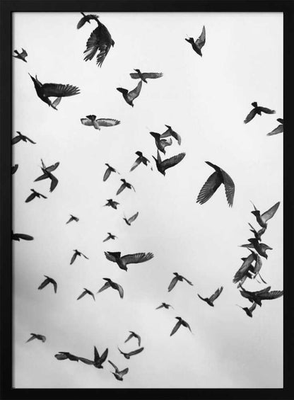 Skyward Symphony - XL Poster