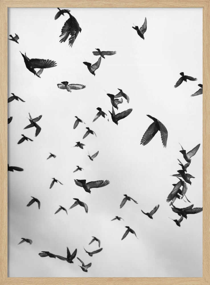Skyward Symphony - XL Poster