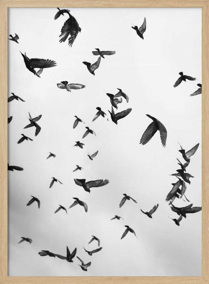 Skyward Symphony - XL Poster