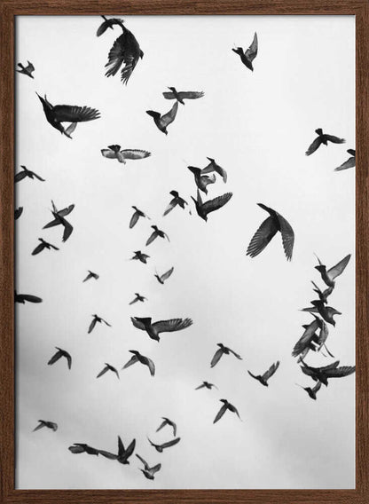 Skyward Symphony - XL Poster