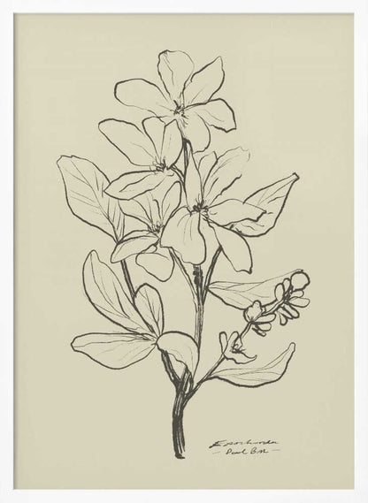 Floral 1 - XL Poster