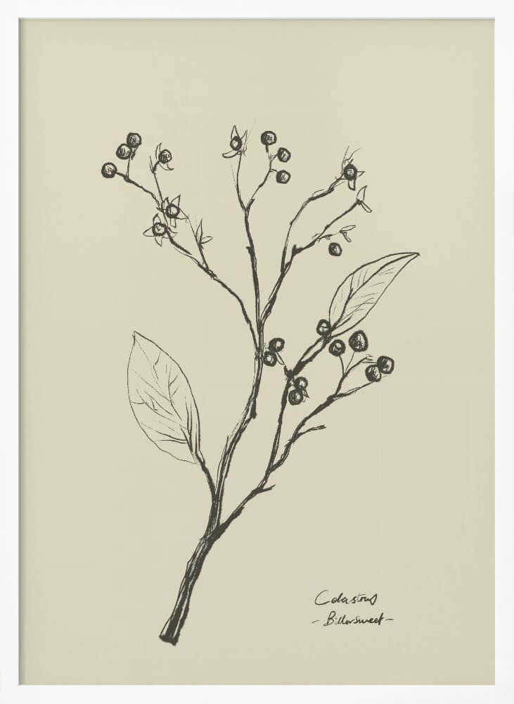 Floral 2 - XL Poster