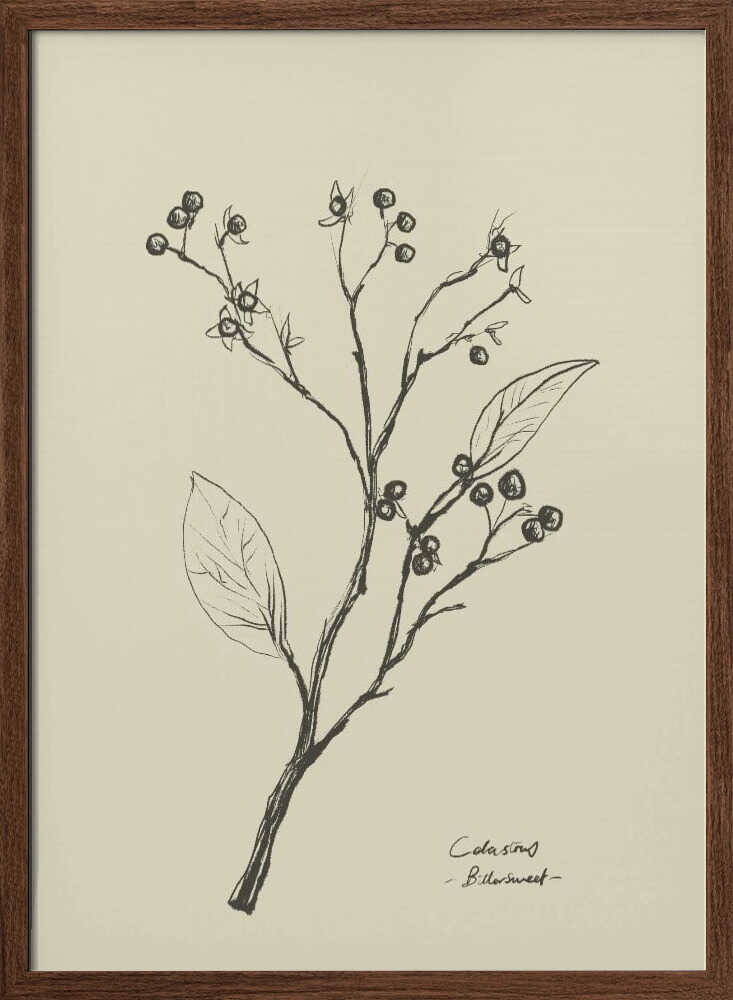 Floral 2 - XL Poster