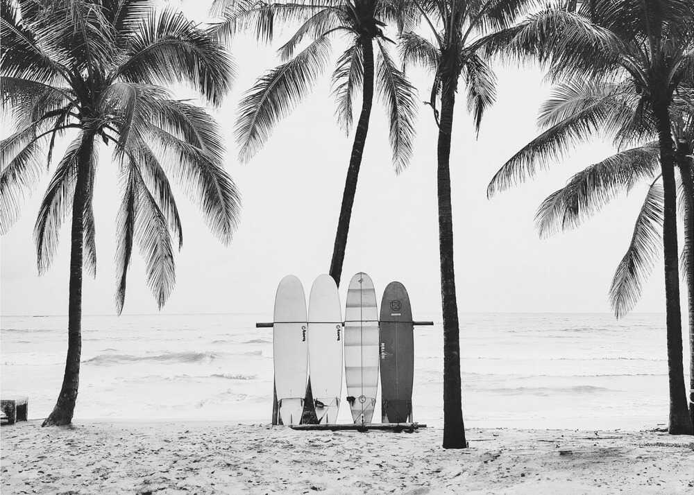 The Boards - XL Poster