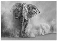 Majestic Elephant Dust Cloud – B2B