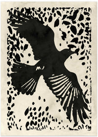 Dark Raven Soaring – B2B