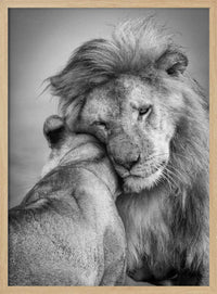 African Love! – B2B