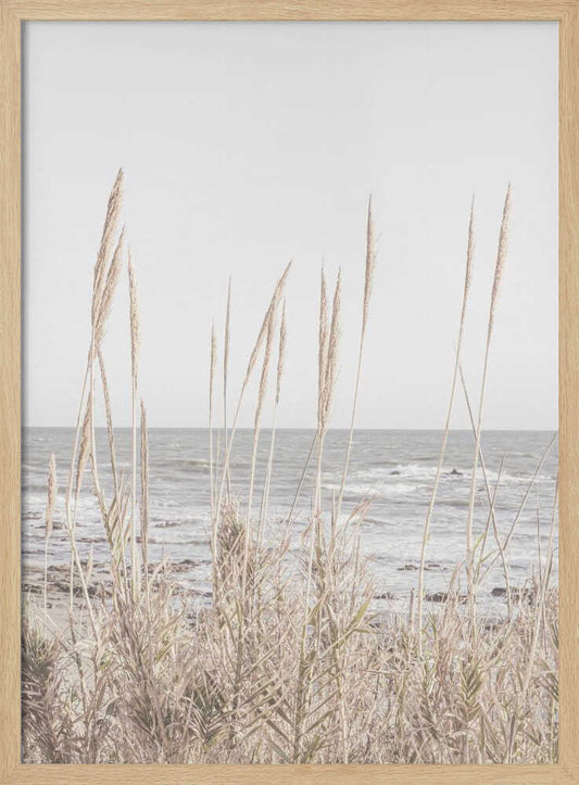 Beach_Vass_001 – B2B