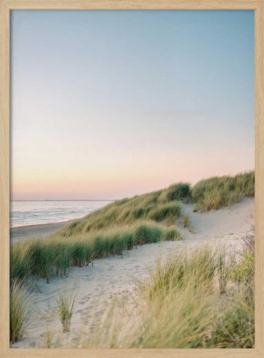 Dutch Dunes – B2B