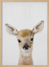 Peekaboo Baby Deer – B2B