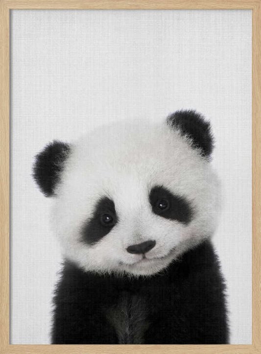 Peekaboo Baby Panda – B2B