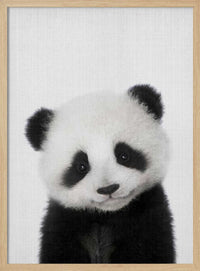 Cute Baby Panda – B2B