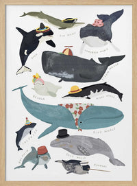 Whales In Hats – B2B