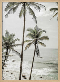 Serene Palm Coast – B2B