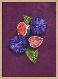 Figs Stil Life – B2B