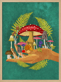 My Mushroom Cosmos – B2B