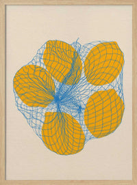Five Lemons In a Net Bag – B2B