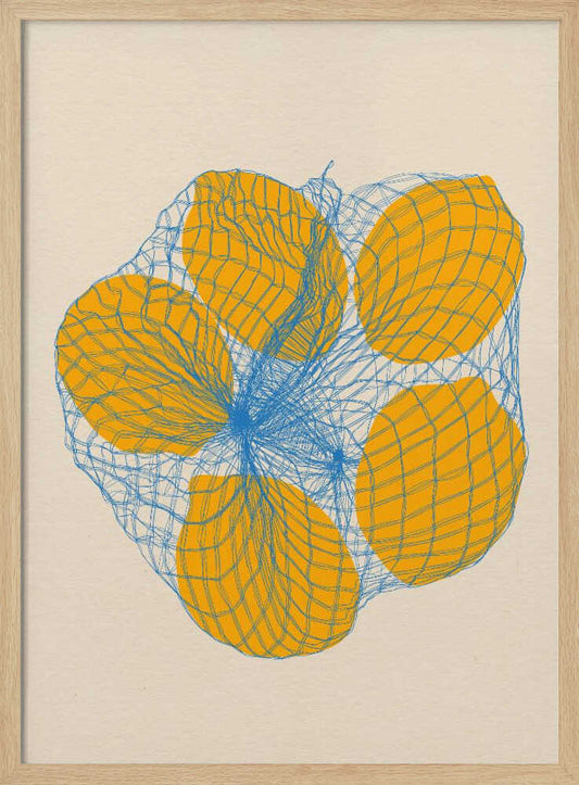 Five Lemons In a Net Bag – B2B