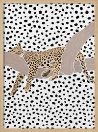 Leopard Sleeping Polkadots – B2B
