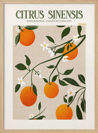 Orange Elegance – B2B