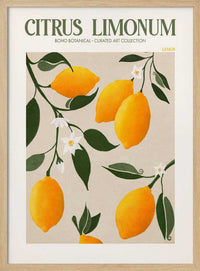 Golden Citrus Delight – B2B