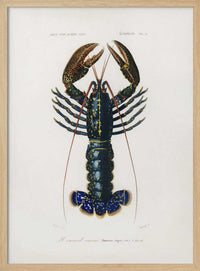 Crimson Crawfish – B2B