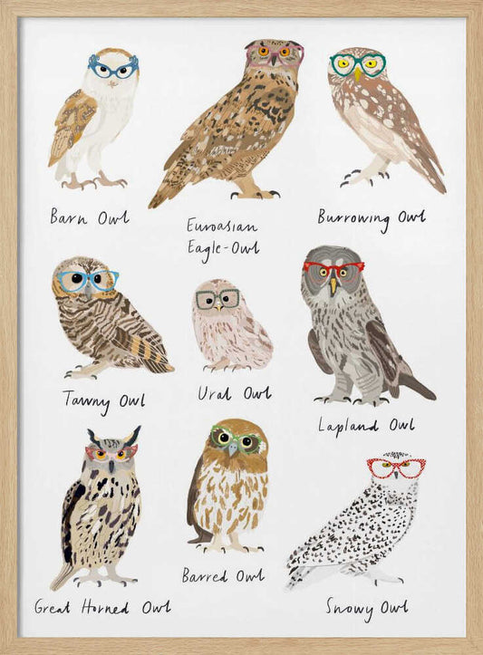 Owls In Glasses Print – B2B