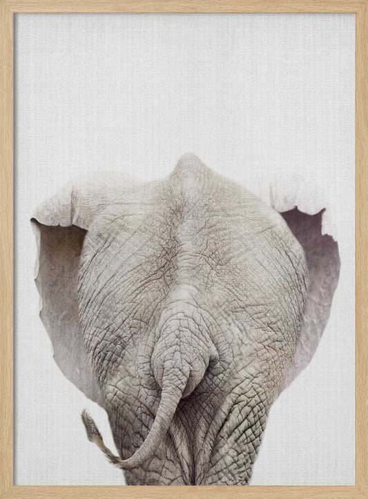 Peekaboo Elephant Tail – B2B
