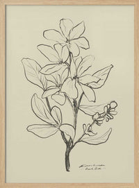 Floral 1 – B2B