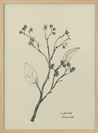 Floral 2 – B2B