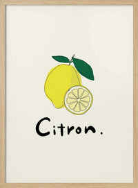 Fresh Lemon Illustration – B2B