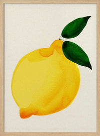 Fresh Yellow Lemon – B2B