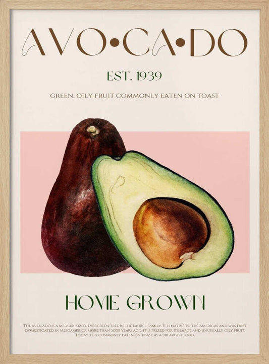 Botanical Avocado Duo – B2B