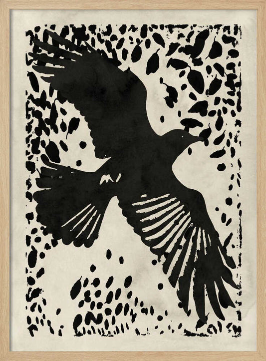 Dark Raven Soaring – B2B