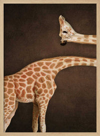 Spotted Giraffe Grace – B2B