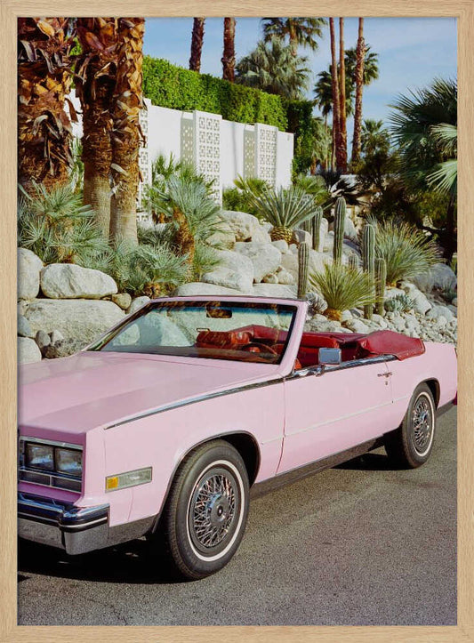 Palm Springs Ride – B2B