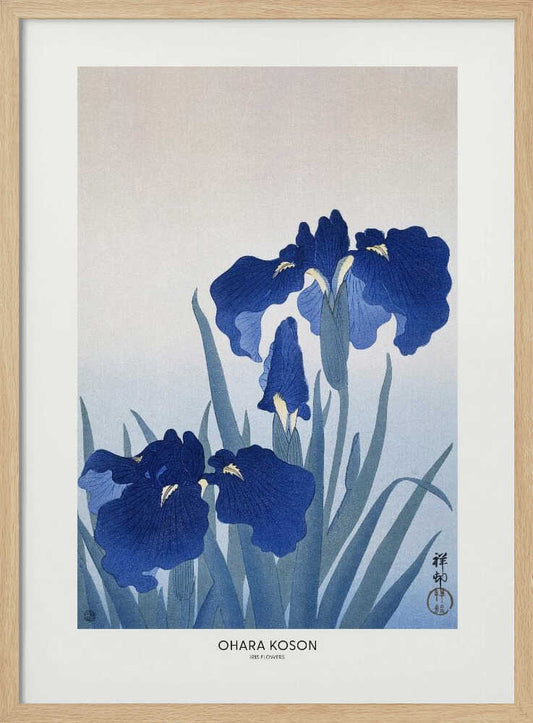 Iris Flowers Poster By Ohara Koson – B2B