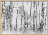 Black and white – B2B