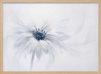 Delicate White Bloom – B2B